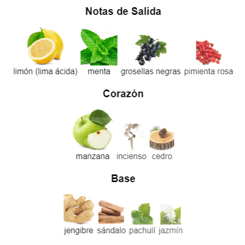 Imagen del producto 2