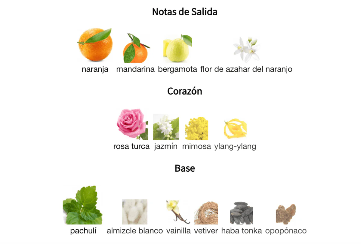 Imagen del producto 3